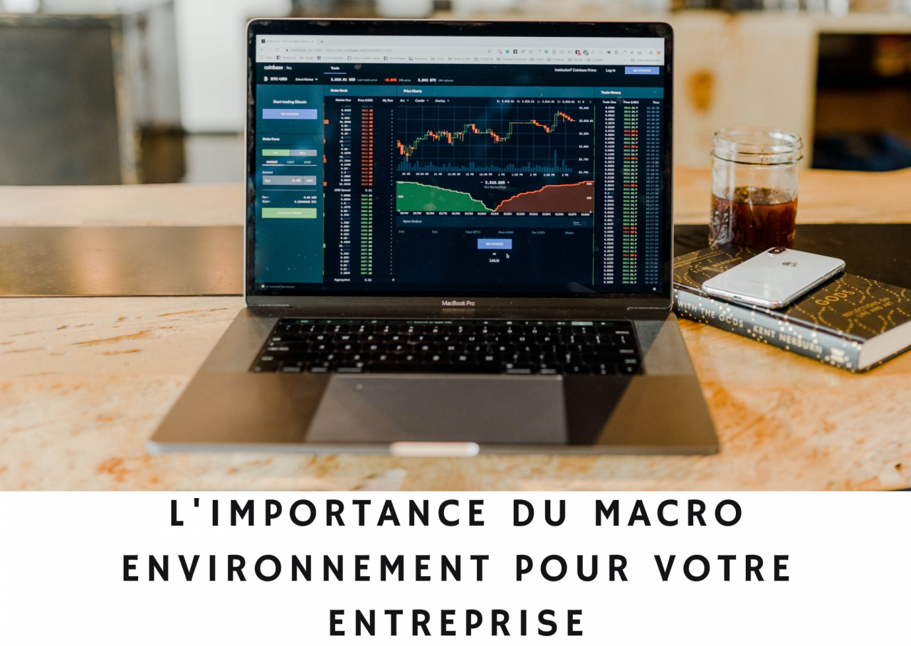 Macro environnement faites l’analyse des forces et faiblesses de votre entreprise.